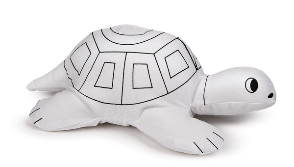 Color Kit Turtle