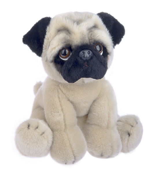 Heritage Pug