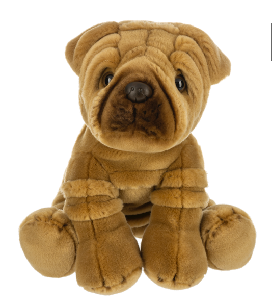 Heritage Sharpei