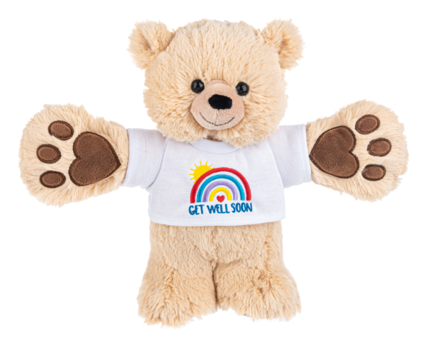 Get Well Hugs Bear